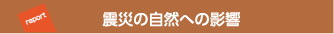 震災の自然への影響