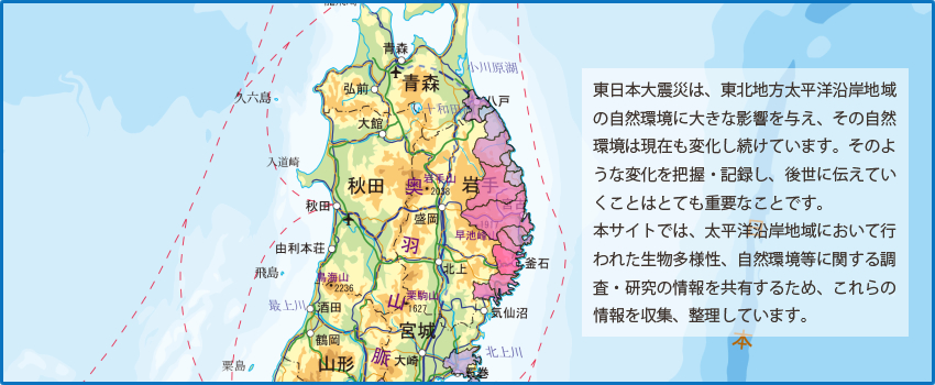 東日本大震災は、東北地方太平洋沿岸地域の自然環境に大きな影響を与え、その自然環境は現在も変化し続けています。そのような変化を把握・記録し、後世に伝えていくことはとても重要なことです。本サイトでは、太平洋沿岸地域において行われた生物多様性、自然環境等に関する調査・研究の情報を共有するため、これらの情報を収集、整理しています。